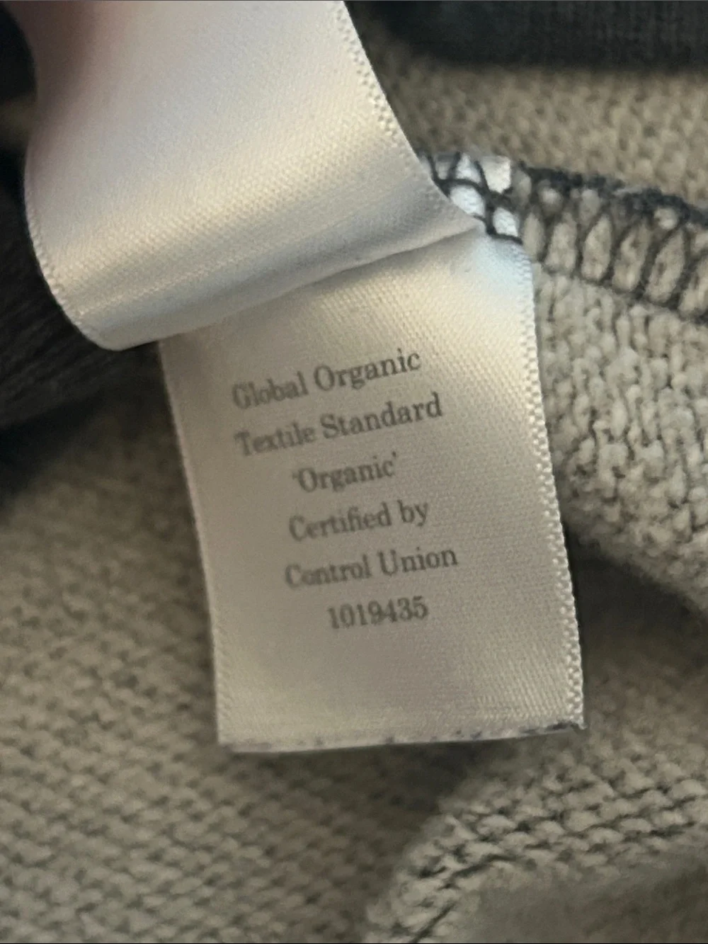 Everlane Charcoal Hoodie Pullover
